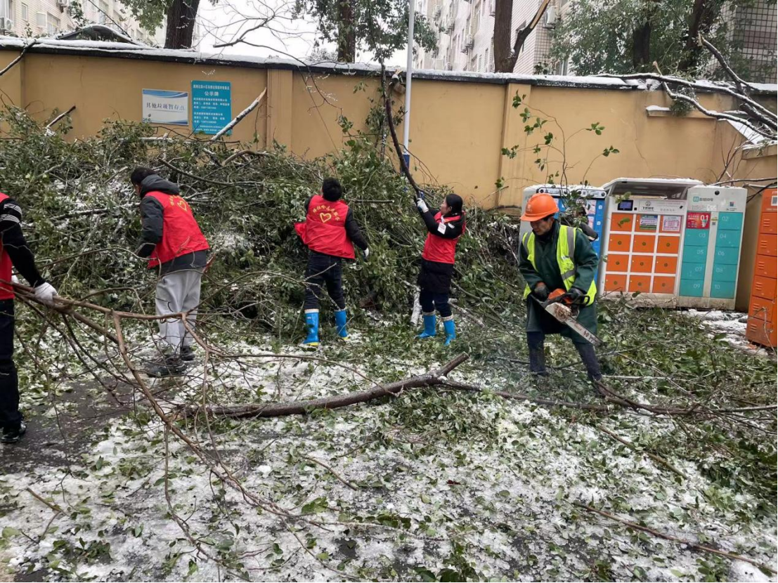 GA黄金甲(中国)最新官方网站