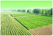 GA黄金甲(中国)最新官方网站