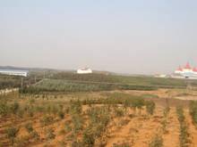 GA黄金甲(中国)最新官方网站