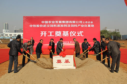 GA黄金甲(中国)最新官方网站