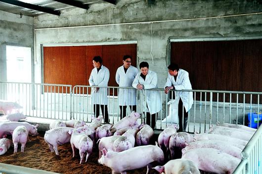 GA黄金甲(中国)最新官方网站