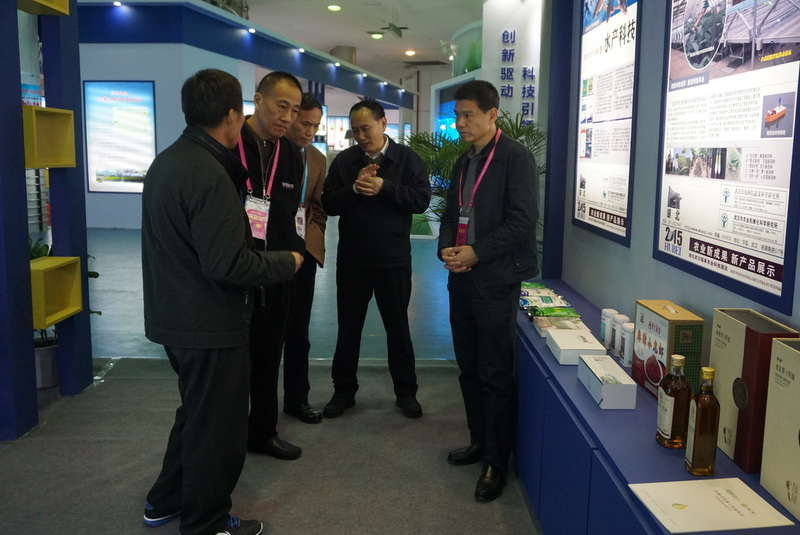 GA黄金甲(中国)最新官方网站