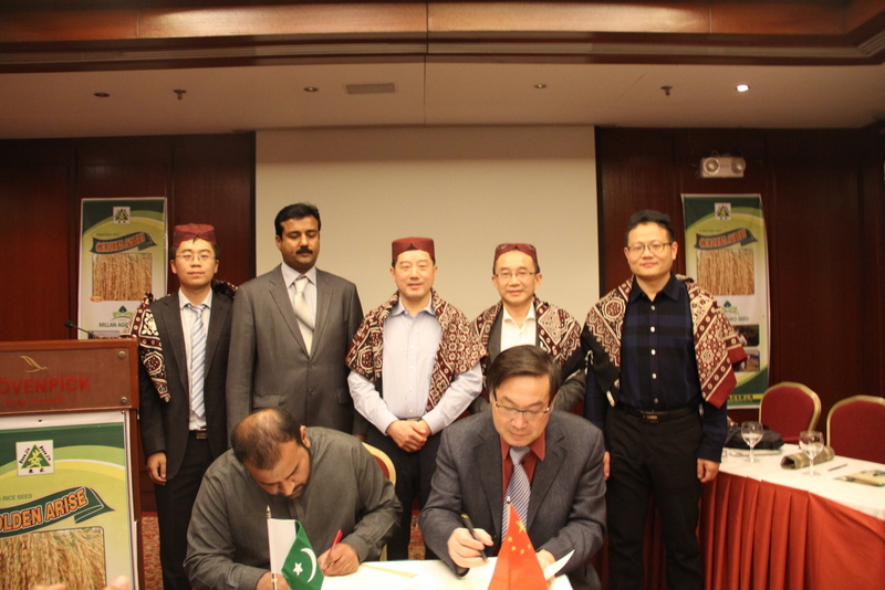 GA黄金甲(中国)最新官方网站