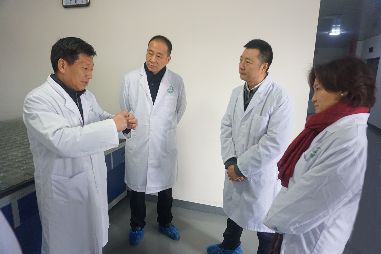 GA黄金甲(中国)最新官方网站