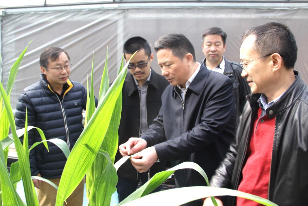 GA黄金甲(中国)最新官方网站