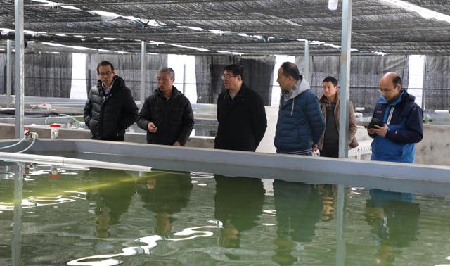 GA黄金甲(中国)最新官方网站